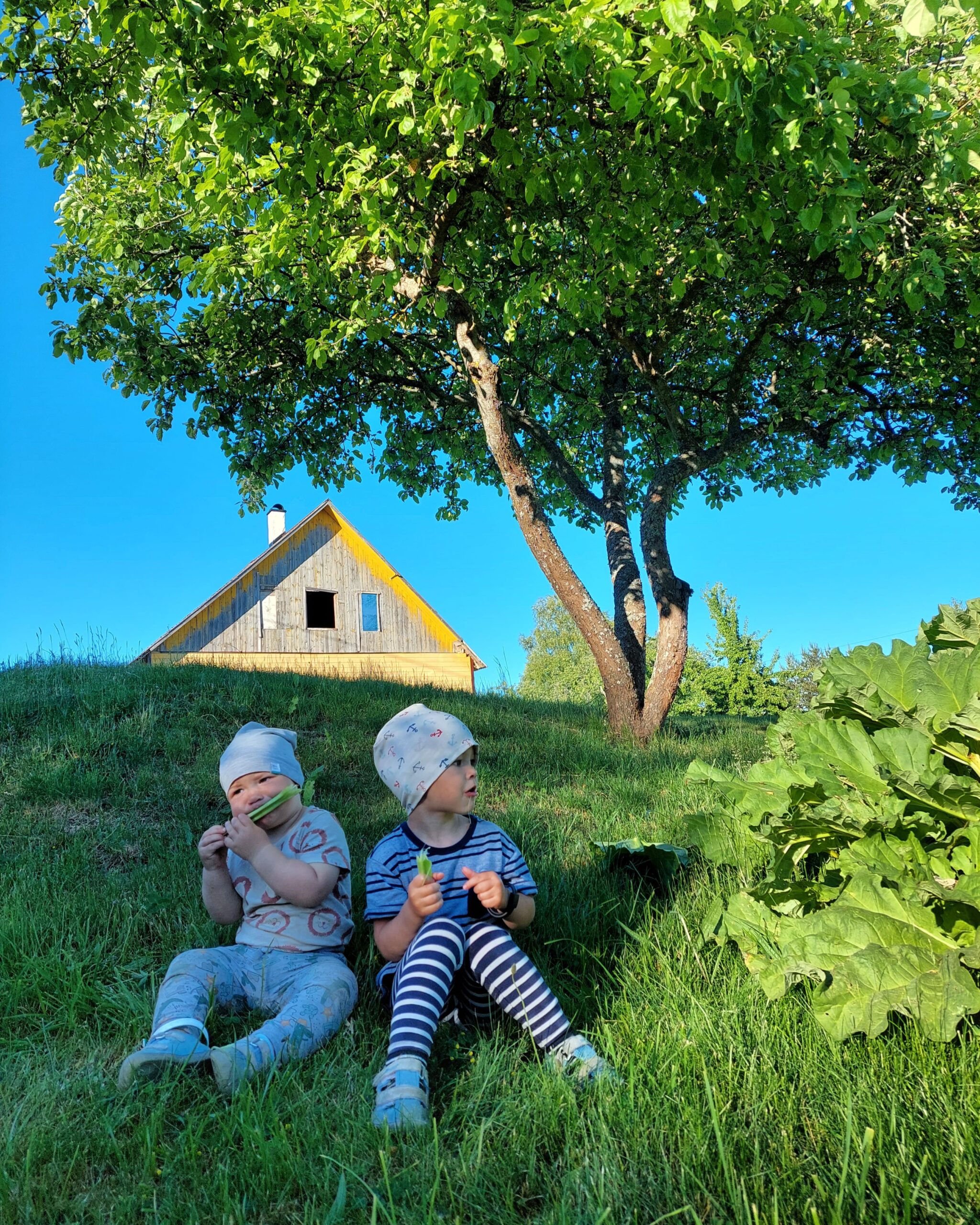 IMG_20220617_202649_623