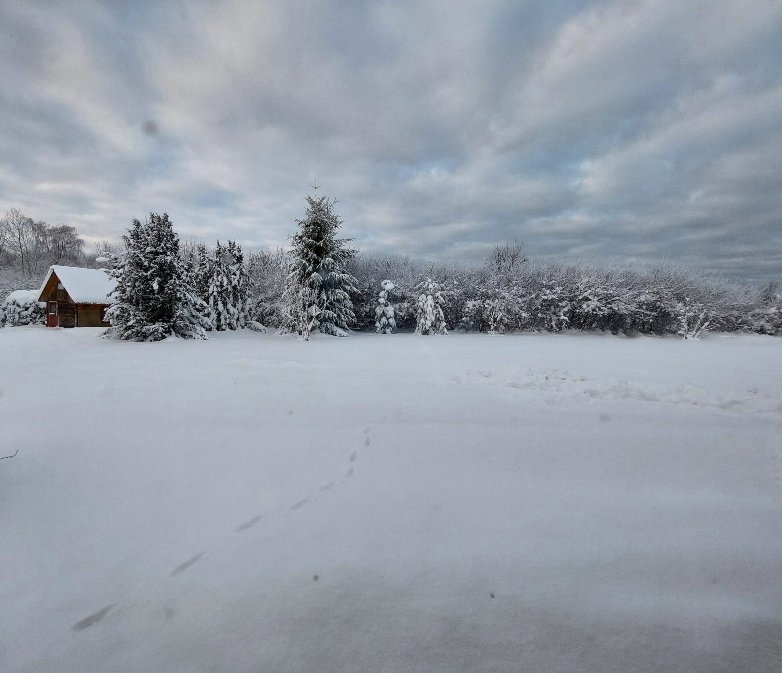 IMG_20221217_234209_794