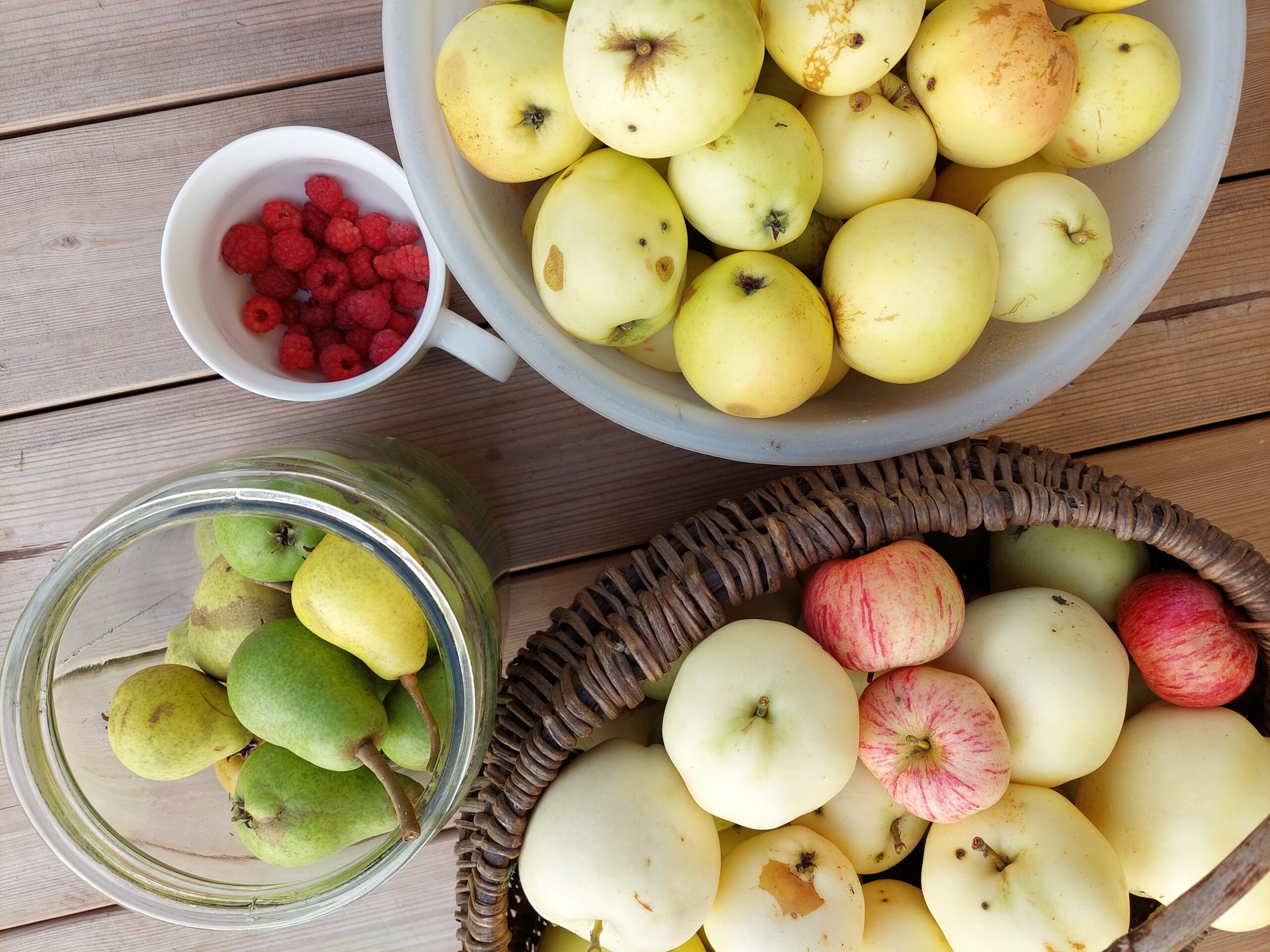 Miku holiday_saadused